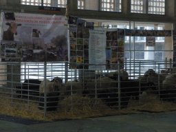 phoca_thumb_l_noviembre 020